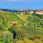 Glanz Und Gloria Weingartenapartment An Der Kellerstrasse, Viele Buschenschaenke, Sehr Ruhige Lage, Herrliche Aussicht! * Leutschach