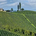 Glanz Und Gloria Weingartenapartment An Der Kellerstrasse, Viele Buschenschaenke, Sehr Ruhige Lage, Herrliche Aussicht! 아파트