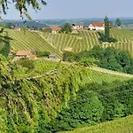 Glanz Und Gloria Weingartenapartment An Der Kellerstrasse, Viele Buschenschaenke, Sehr Ruhige Lage, Herrliche Aussicht! Leutschach
