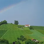 Glanz Und Gloria Weingartenapartment An Der Kellerstrasse, Viele Buschenschaenke, Sehr Ruhige Lage, Herrliche Aussicht! *