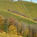 Glanz Und Gloria: Tranquil Vineyard With Scenic Views Apartment *