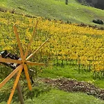 Apartment Glanz Und Gloria: Tranquil Vineyard With Scenic Views *