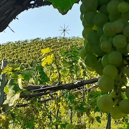 Glanz Und Gloria: Tranquil Vineyard With Scenic Views