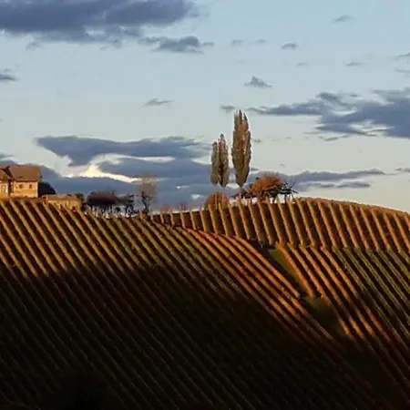Διαμέρισμα Glanz Und Gloria Weingartenapartment An Der Kellerstrasse, Viele Buschenschaenke, Sehr Ruhige Lage, Herrliche Aussicht! *