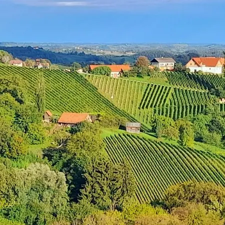 Glanz Und Gloria Weingartenapartment An Der Kellerstrasse, Viele Buschenschaenke, Sehr Ruhige Lage, Herrliche Aussicht! * ליוצכאך