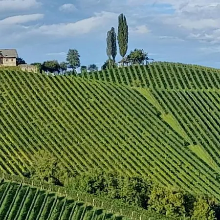 Glanz Und Gloria: Tranquil Vineyard With Scenic Views Apartment