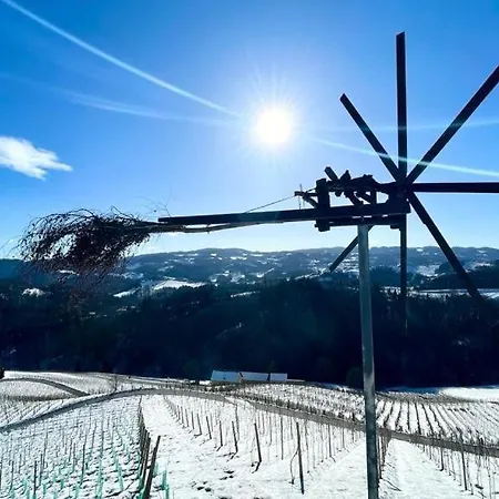 Glanz Und Gloria: Tranquil Vineyard With Scenic Views Apartment Leutschach