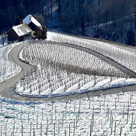 Apartment Glanz Und Gloria: Tranquil Vineyard With Scenic Views Leutschach