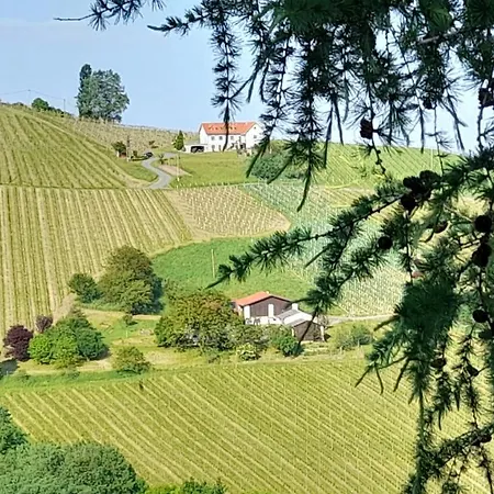 Glanz Und Gloria Weingartenapartment An Der Kellerstrasse, Viele Buschenschaenke, Sehr Ruhige Lage, Herrliche Aussicht! Leutschach