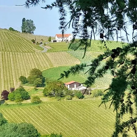 Glanz Und Gloria: Tranquil Vineyard With Scenic Views Leutschach
