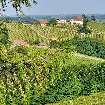 Glanz Und Gloria: Tranquil Vineyard With Scenic Views Leutschach