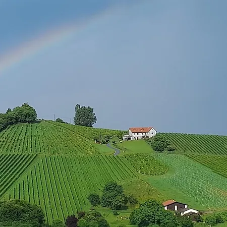 Glanz Und Gloria Weingartenapartment An Der Kellerstrasse, Viele Buschenschaenke, Sehr Ruhige Lage, Herrliche Aussicht! *