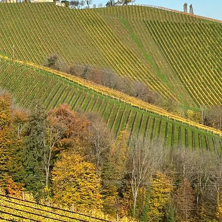 Glanz Und Gloria: Tranquil Vineyard With Scenic Views Apartment *