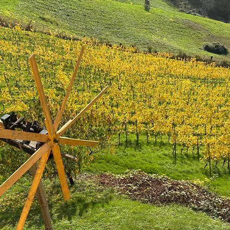 Apartment Glanz Und Gloria: Tranquil Vineyard With Scenic Views *