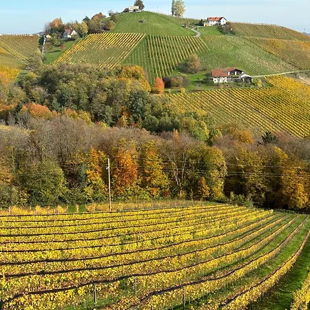 Glanz Und Gloria: Tranquil Vineyard With Scenic Views Leutschach