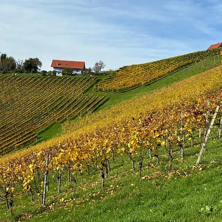 Glanz Und Gloria: Tranquil Vineyard With Scenic Views