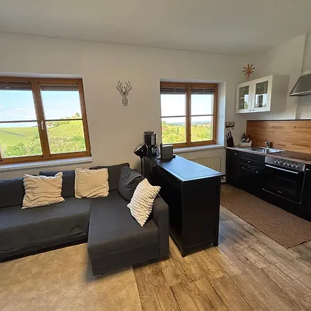 Glanz Und Gloria Weingartenapartment An Der Kellerstrasse, Viele Buschenschaenke, Sehr Ruhige Lage, Herrliche Aussicht! Daire Leutschach