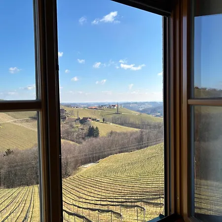 Glanz Und Gloria Weingartenapartment An Der Kellerstrasse, Viele Buschenschaenke, Sehr Ruhige Lage, Herrliche Aussicht! شقة ليوتسشاخ