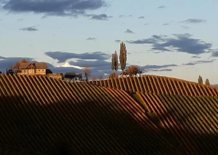 公寓 Glanz Und Gloria Weingartenapartment An Der Kellerstrasse, Viele Buschenschaenke, Sehr Ruhige Lage, Herrliche Aussicht! *