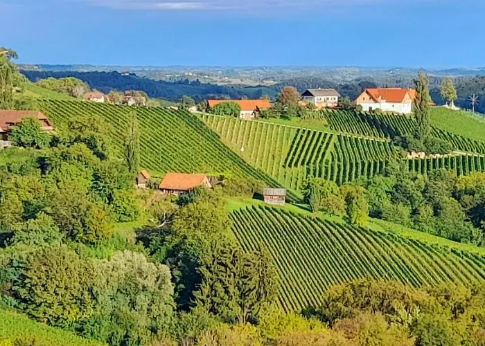 Glanz Und Gloria Weingartenapartment An Der Kellerstrasse, Viele Buschenschaenke, Sehr Ruhige Lage, Herrliche Aussicht! * 里欧查赫