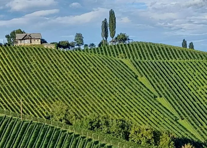 Glanz Und Gloria Weingartenapartment An Der Kellerstrasse, Viele Buschenschaenke, Sehr Ruhige Lage, Herrliche Aussicht! 公寓
