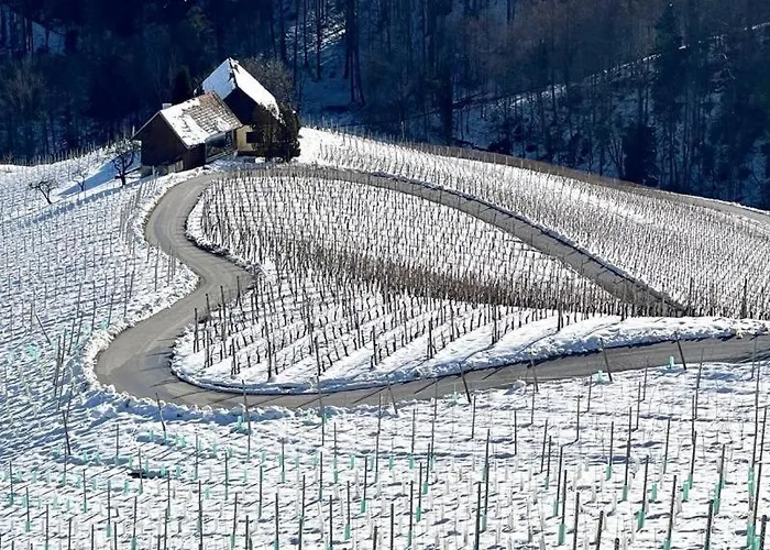 公寓 Glanz Und Gloria Weingartenapartment An Der Kellerstrasse, Viele Buschenschaenke, Sehr Ruhige Lage, Herrliche Aussicht! 里欧查赫