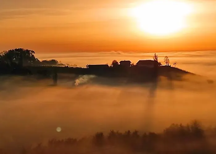 公寓 Glanz Und Gloria Weingartenapartment An Der Kellerstrasse, Viele Buschenschaenke, Sehr Ruhige Lage, Herrliche Aussicht! 里欧查赫