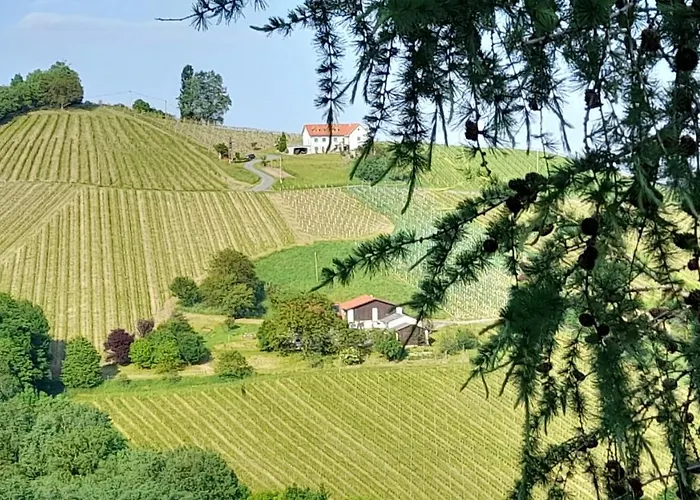 Glanz Und Gloria Weingartenapartment An Der Kellerstrasse, Viele Buschenschaenke, Sehr Ruhige Lage, Herrliche Aussicht! 里欧查赫