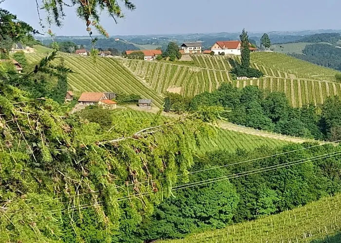 Glanz Und Gloria Weingartenapartment An Der Kellerstrasse, Viele Buschenschaenke, Sehr Ruhige Lage, Herrliche Aussicht! 里欧查赫