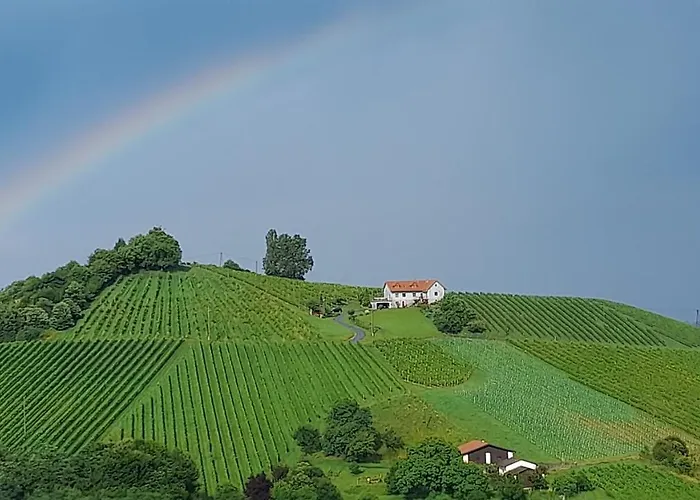 Glanz Und Gloria Weingartenapartment An Der Kellerstrasse, Viele Buschenschaenke, Sehr Ruhige Lage, Herrliche Aussicht! *