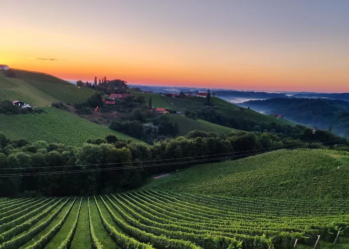 公寓 Glanz Und Gloria Weingartenapartment An Der Kellerstrasse, Viele Buschenschaenke, Sehr Ruhige Lage, Herrliche Aussicht!