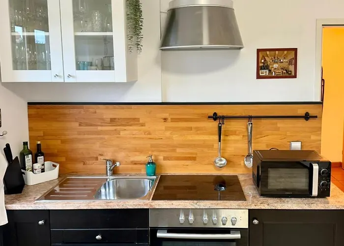 Glanz Und Gloria Weingartenapartment An Der Kellerstrasse, Viele Buschenschaenke, Sehr Ruhige Lage, Herrliche Aussicht! 公寓 里欧查赫