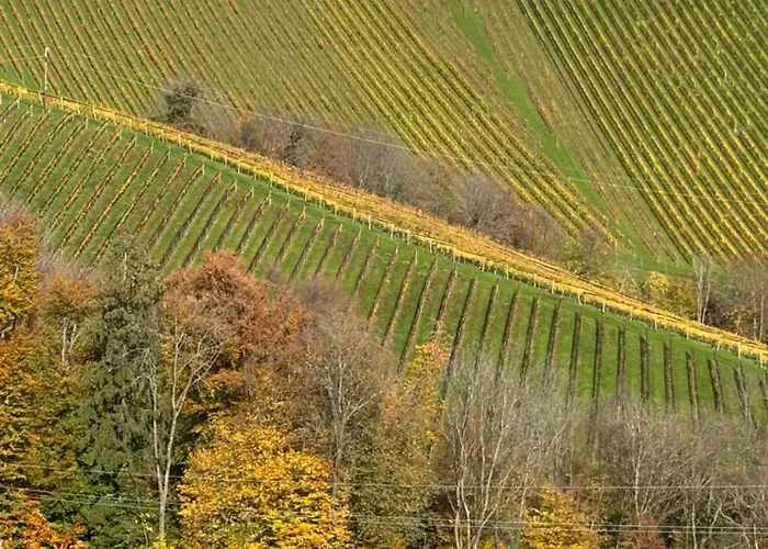 Glanz Und Gloria Weingartenapartment An Der Kellerstrasse, Viele Buschenschaenke, Sehr Ruhige Lage, Herrliche Aussicht! 公寓 *