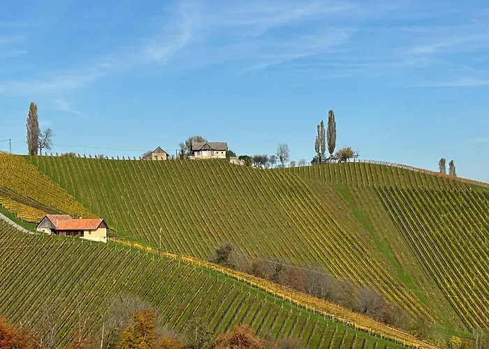 Glanz Und Gloria Weingartenapartment An Der Kellerstrasse, Viele Buschenschaenke, Sehr Ruhige Lage, Herrliche Aussicht! * 里欧查赫