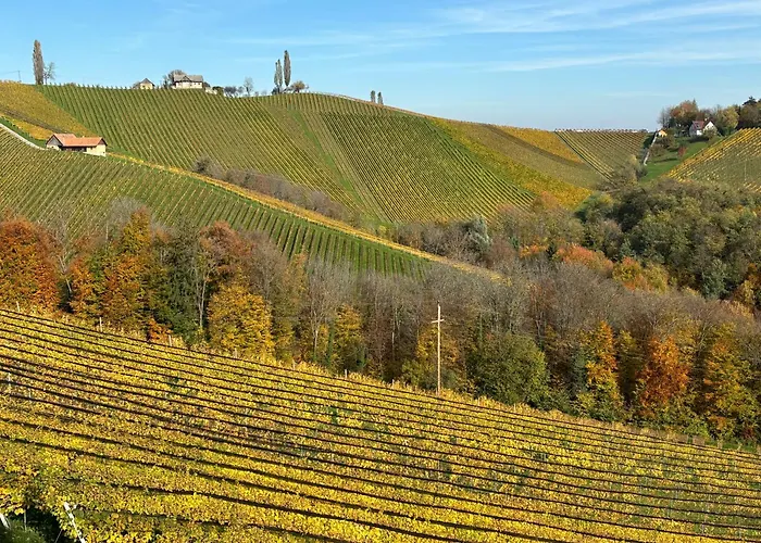 Glanz Und Gloria Weingartenapartment An Der Kellerstrasse, Viele Buschenschaenke, Sehr Ruhige Lage, Herrliche Aussicht! *