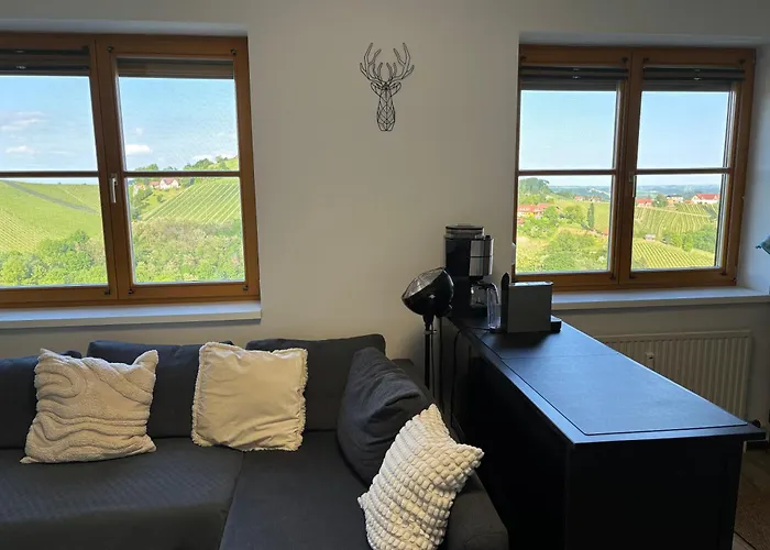 Glanz Und Gloria Weingartenapartment An Der Kellerstrasse, Viele Buschenschaenke, Sehr Ruhige Lage, Herrliche Aussicht! 里欧查赫