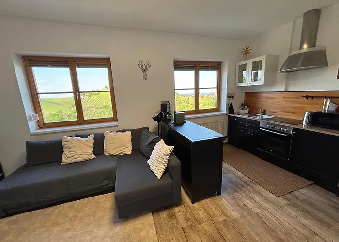 Glanz Und Gloria Weingartenapartment An Der Kellerstrasse, Viele Buschenschaenke, Sehr Ruhige Lage, Herrliche Aussicht! 公寓 里欧查赫